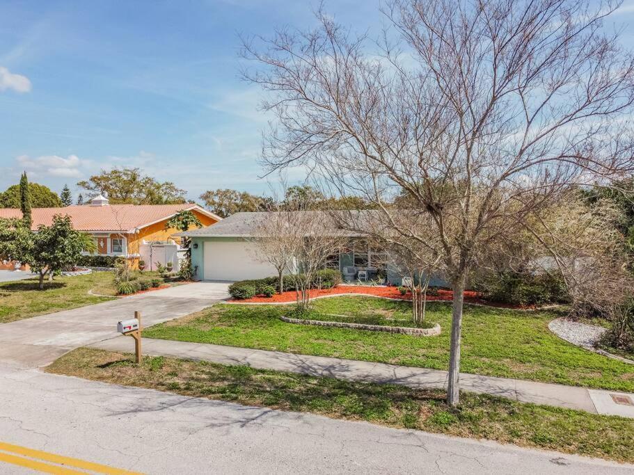הוילה Casabetty Clearwater Florida מראה חיצוני תמונה